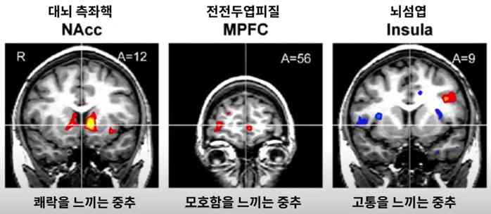 고객이 느끼는 지불의 고통
